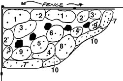 Two-sided planting
