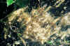 fall_webworm.jpg (91312 bytes)
